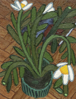 Plano fijo de la maceta que hay en casa: