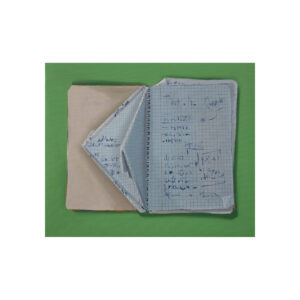 El cuaderno de Candela II