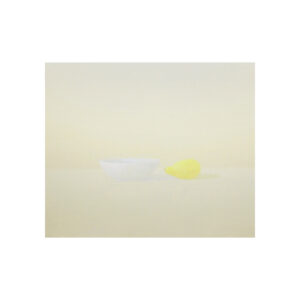 Pintura 155