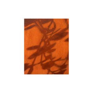 Sombras II